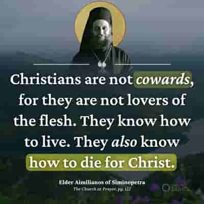 Christians are not cowards - Elder Aimilianos of Siminopetra