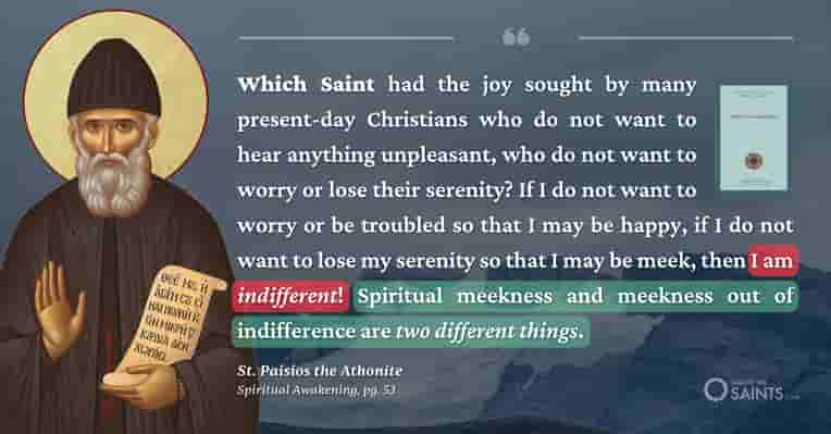 What type of joy do we seek? - St. Paisios the Athonite